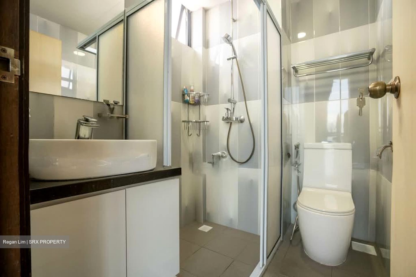 Regent Heights (D23), Condominium #544398861